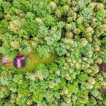 Lost Pond Cabin Schroon Lake Extérieur photo